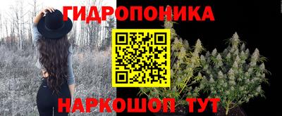 мдма Новозыбков