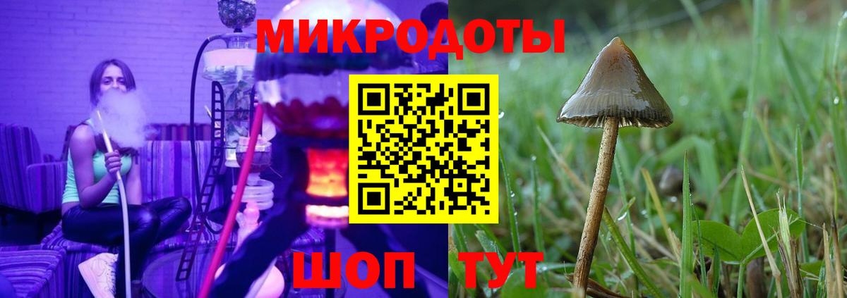 Псилоцибиновые грибы Cubensis  Вход с VPN  Тавда 